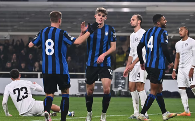 奥尔良羽毛 奥尔良羽毛