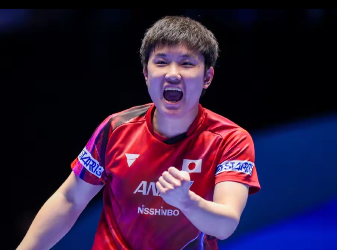 案例分析 案例分析